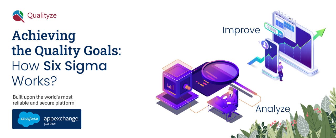 how six sigma works in achieving quality goals