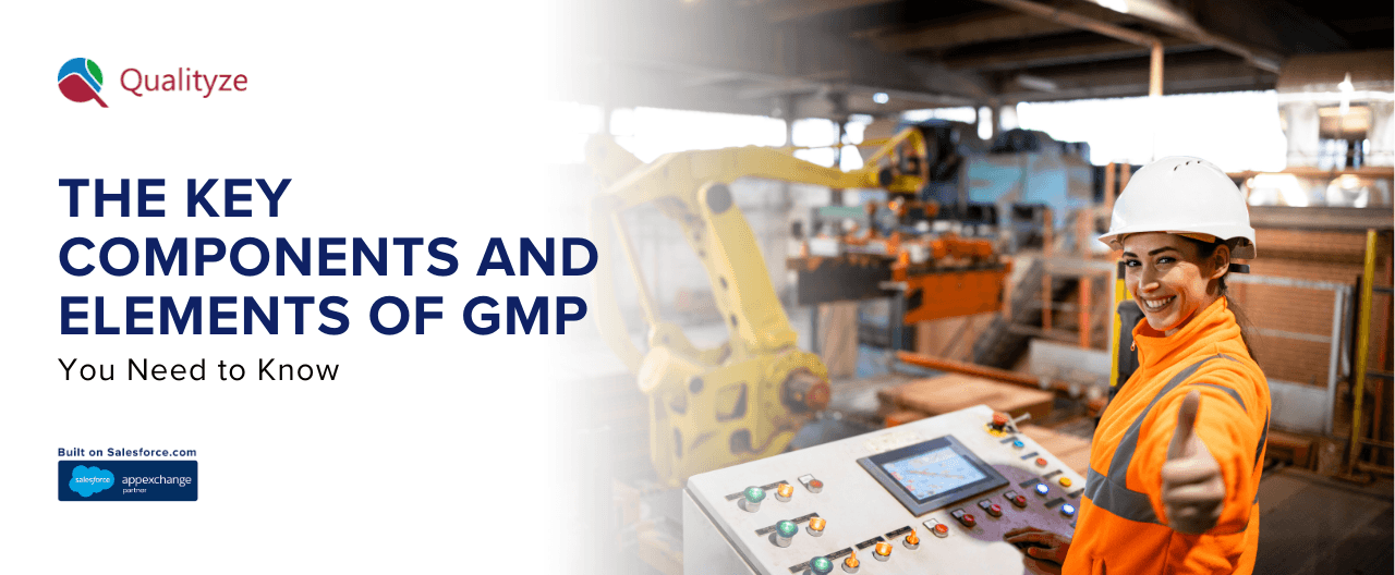 Key Components and Elements of GMP